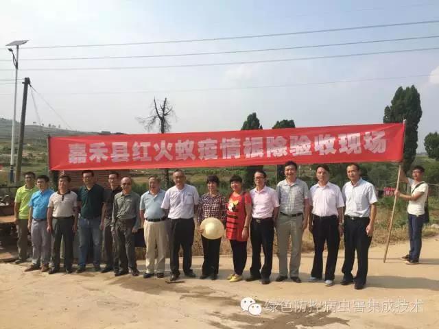 重大入侵生物红火蚁疫情通过根除验收
